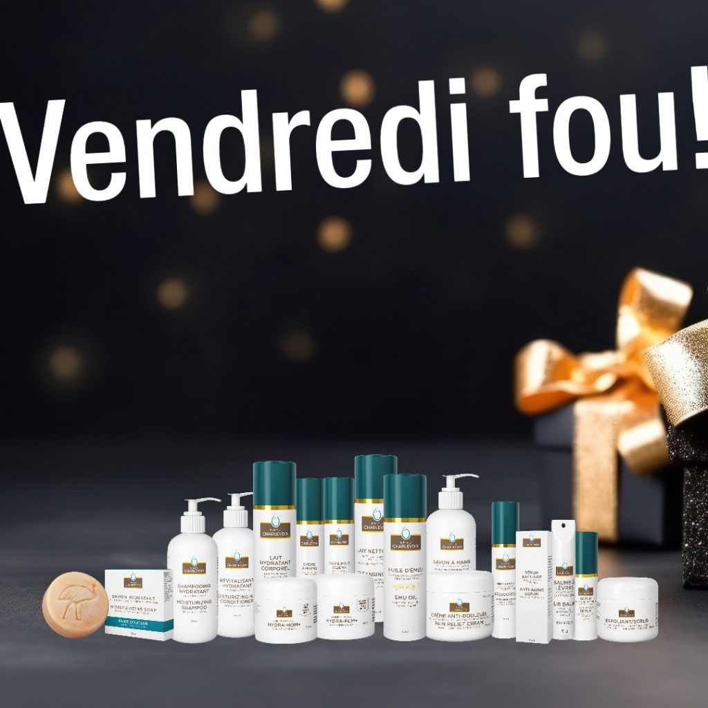 cadeau du vendredi fou