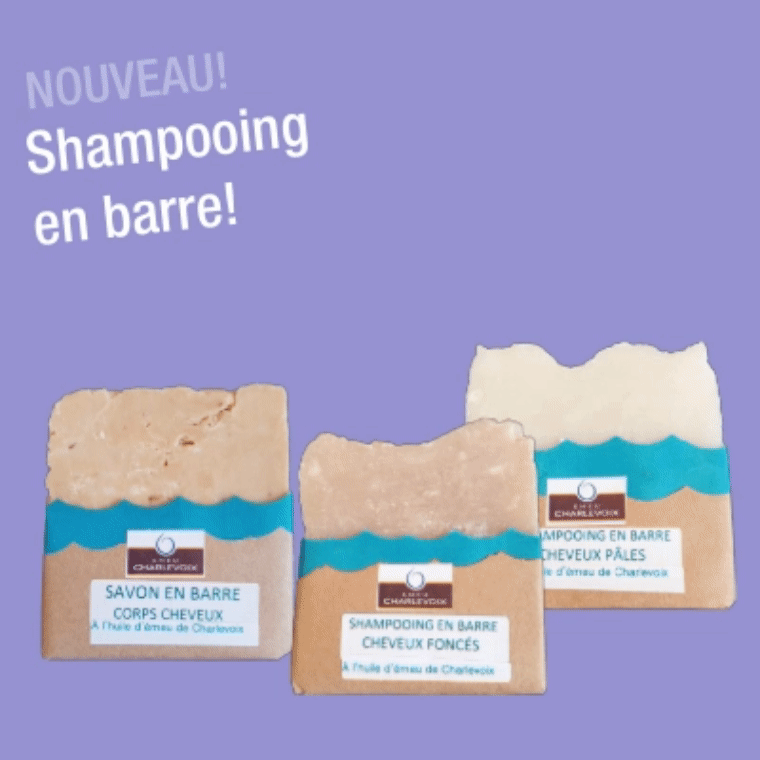 shampooing en barre